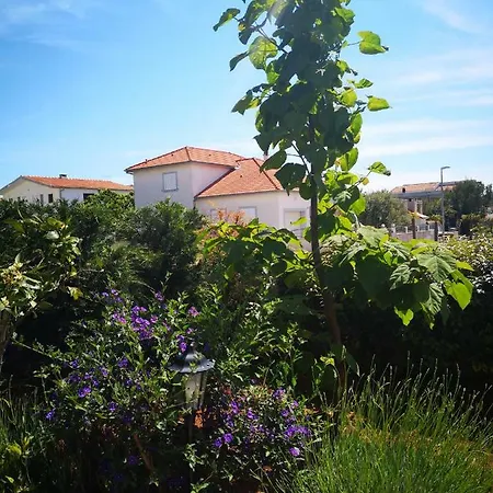 Apartament Hana