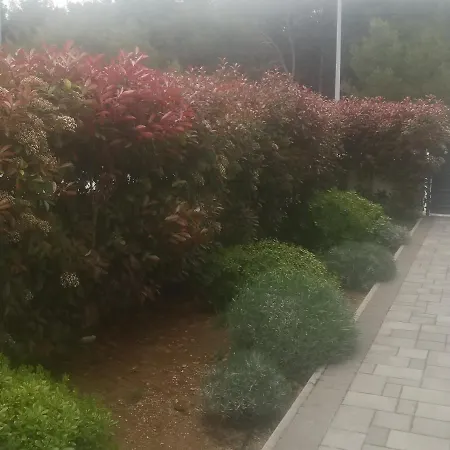 Διαμέρισμα Hana